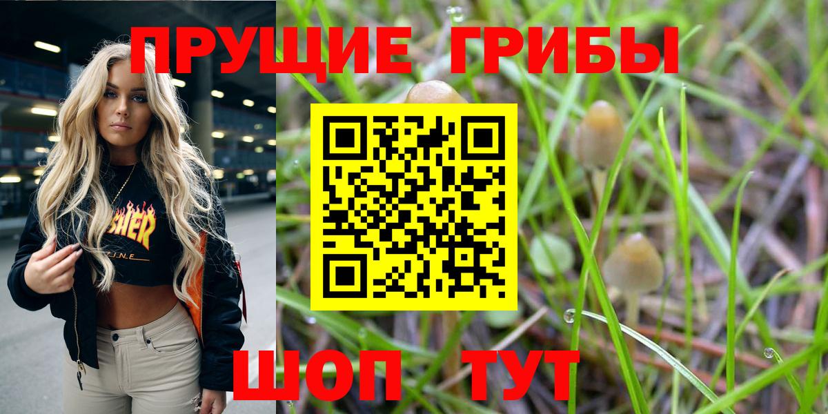Галлюциногенные грибы MAGIC MUSHROOMS  Вход с VPN  Когалым 